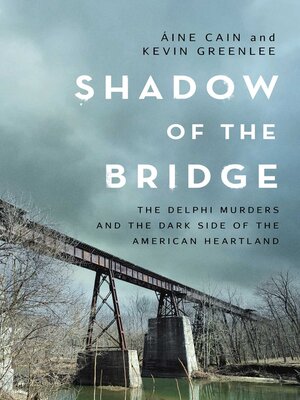 cover image of Shadow of the Bridge